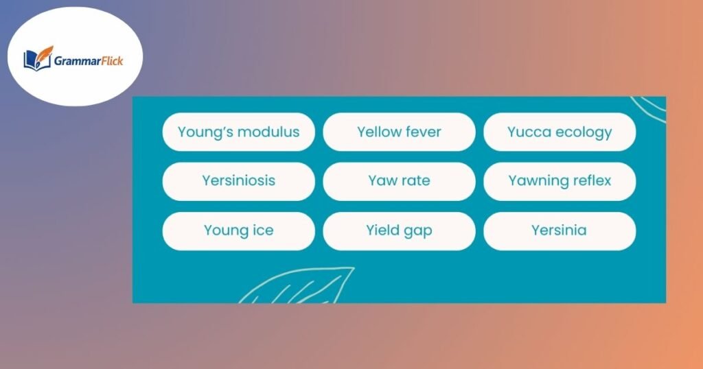 Physics Science Words That Start With Y