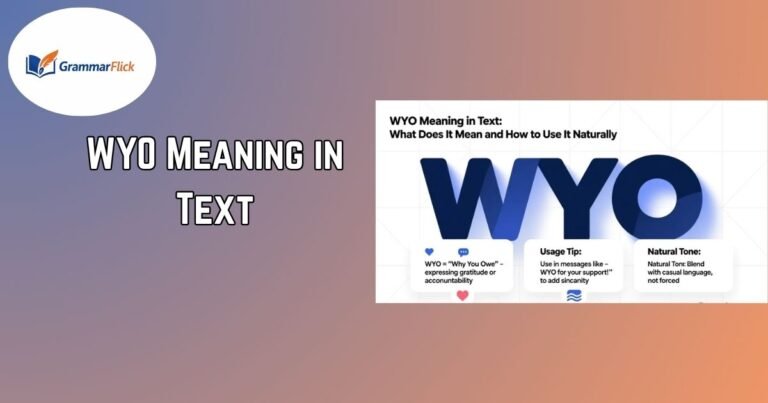 WYO Meaning in Text