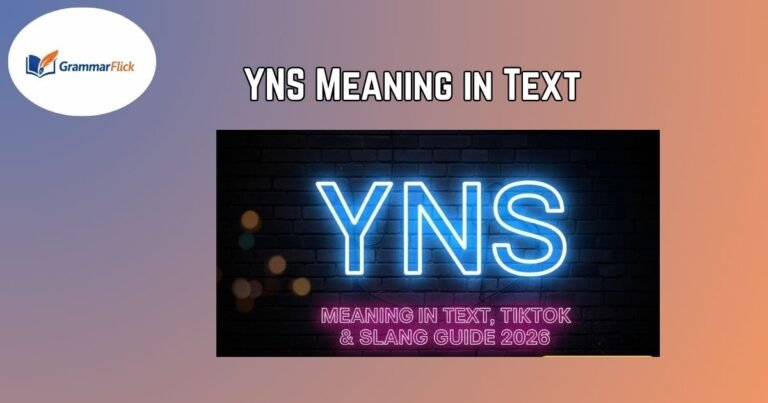 YNS Meaning in Text