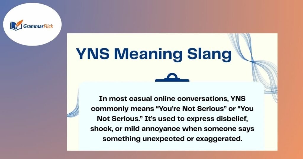 YNS slang meaning