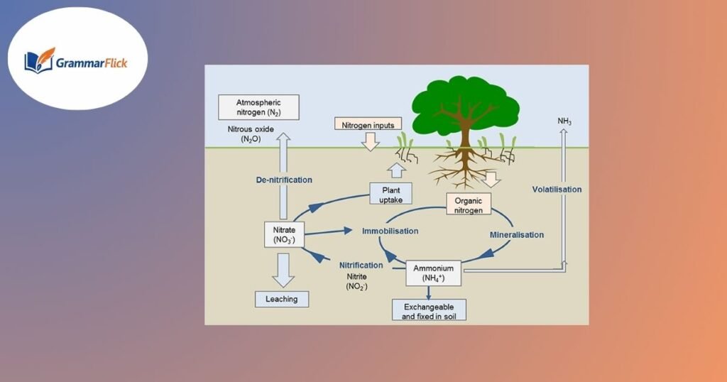 Nitrogen An Essential Element for Life