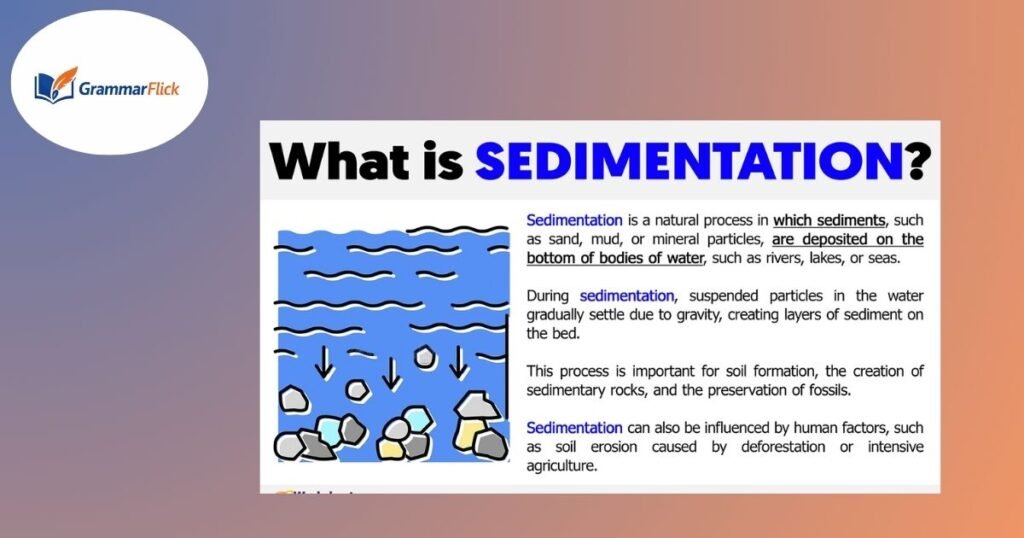 Sediment