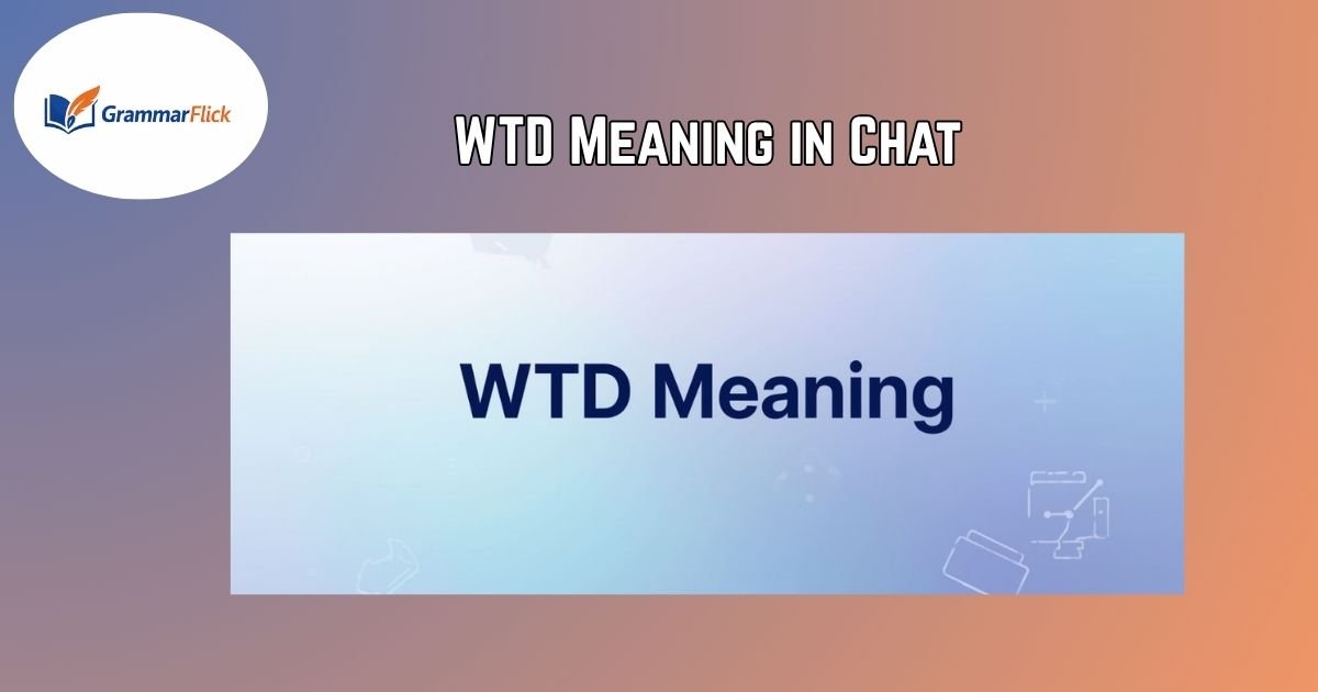 WTD Meaning in Chat