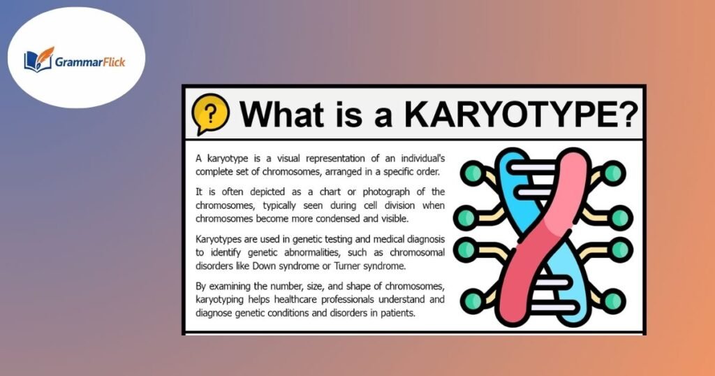 Karyotype