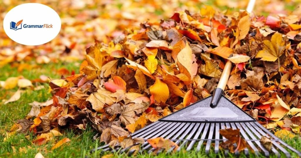 Rake