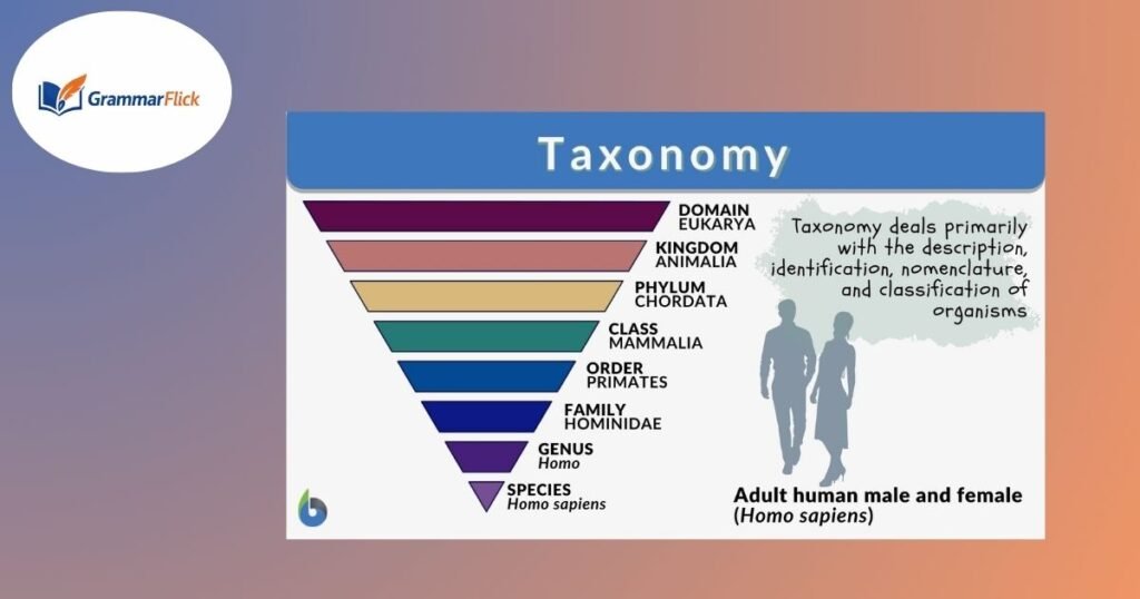 Taxonomy